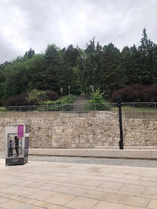 Vivienda De Uso Turistico En El Corazon De Burgos Lägenhet Exteriör bild